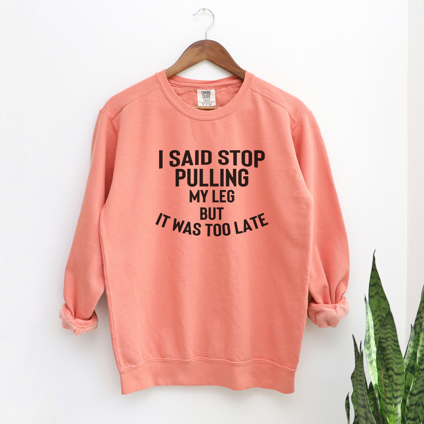 I Said Stop Pulling My Leg, But it Was Too Late Sweatshirt Sweatshirts Terracota S
