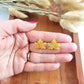 Maple Leaf Studs