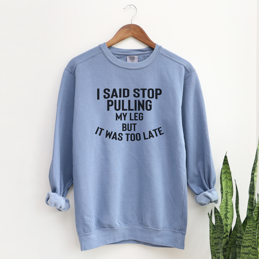 I Said Stop Pulling My Leg, But it Was Too Late Sweatshirt Sweatshirts Blue Jean S 