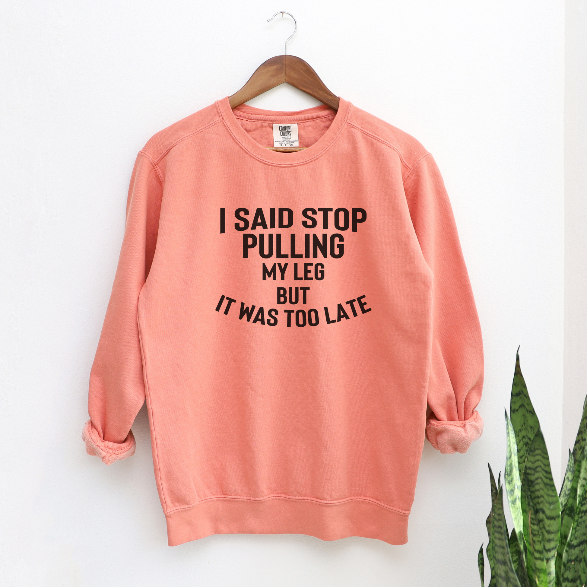 I Said Stop Pulling My Leg, But it Was Too Late Sweatshirt Sweatshirts Terracota S 