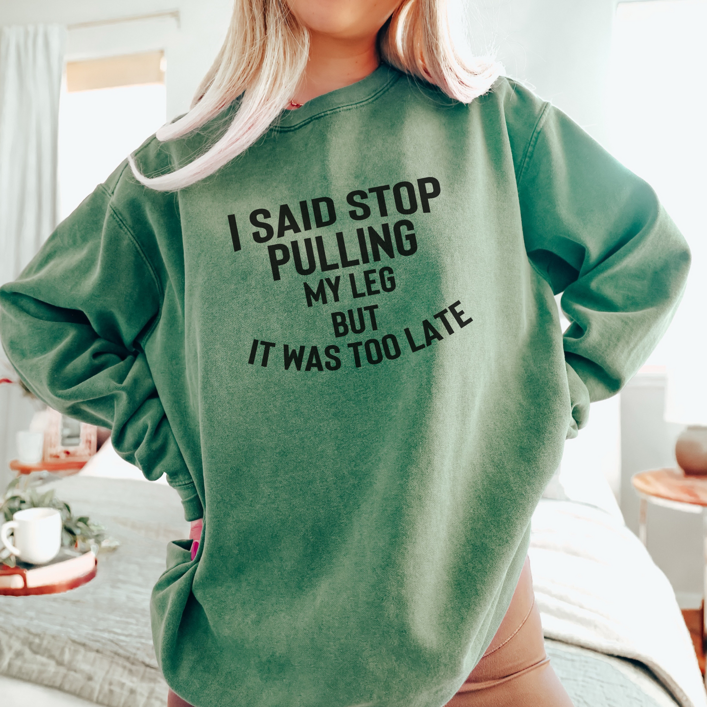 I Said Stop Pulling My Leg, But it Was Too Late Sweatshirt Sweatshirts Light Green S 