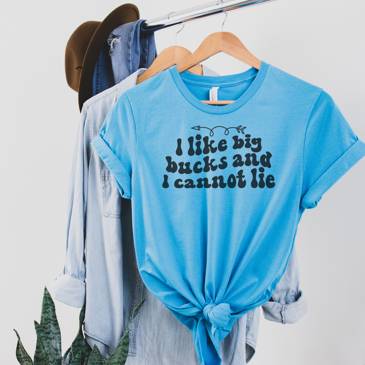 I Like Big Bucks and I Can Not Lie Tee T-Shirt Heather Aqua S 